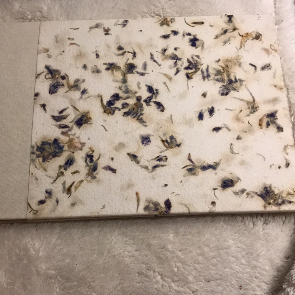 NWT Guest Book